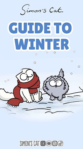 Soft and cosy guide to get the best out of the cold days ahead!