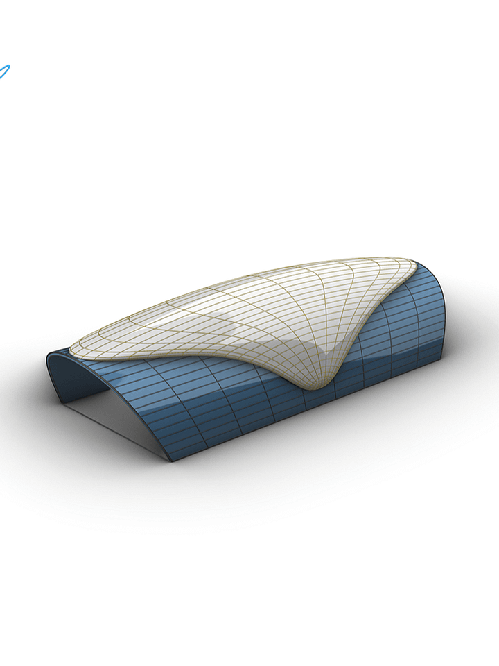Rhino – EX 46 – Project + SubD Loft product image (1)