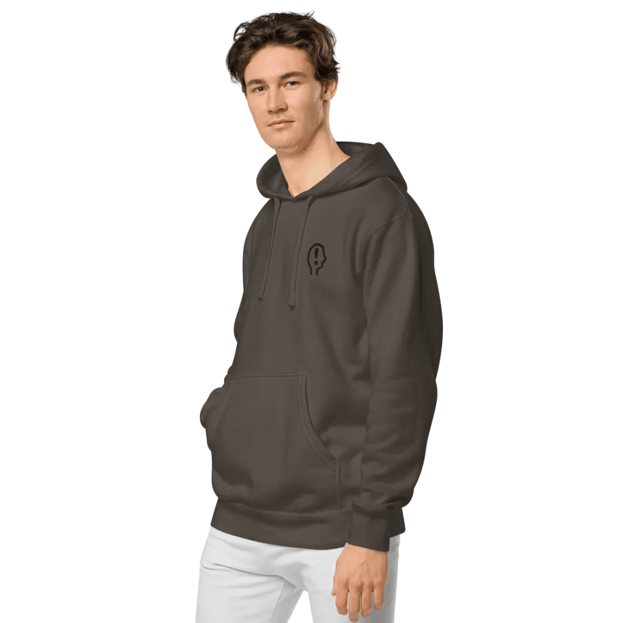 EXCLAIMING MENTALLY (black) embroidered pigment hoodie product image (4)