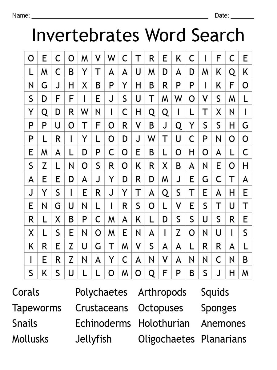 Invertebrate Word Search: 16 Creatures to Find! product image (1)