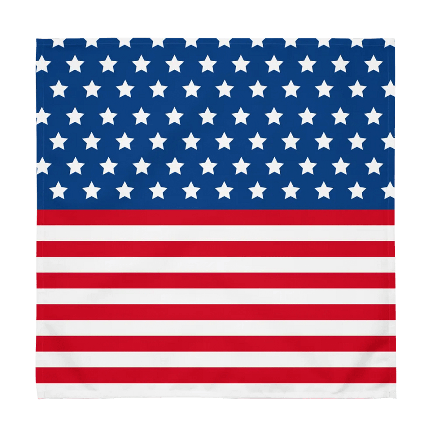 Exclusive Patriotic United States Flag Cloth Napkin Set (4) - Dining Decor product image (2)
