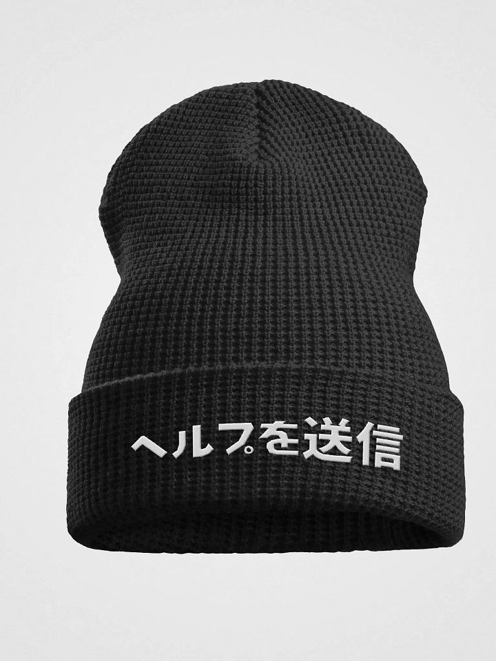 Immaculate Beanie product image (1)