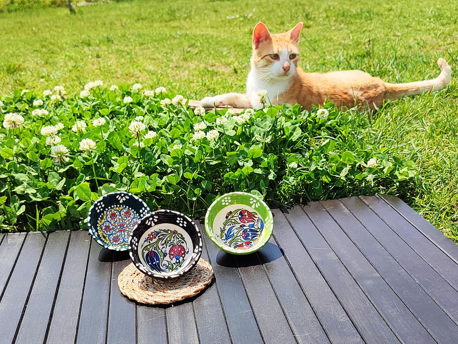 Ceramic set of 3 snack bowls, small — handmade pottery product image (2)