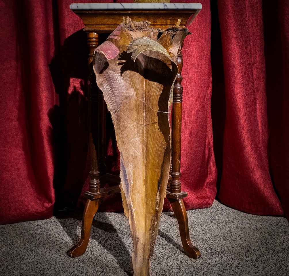 Hand-Painted Tropical Deity Mask product image (2)