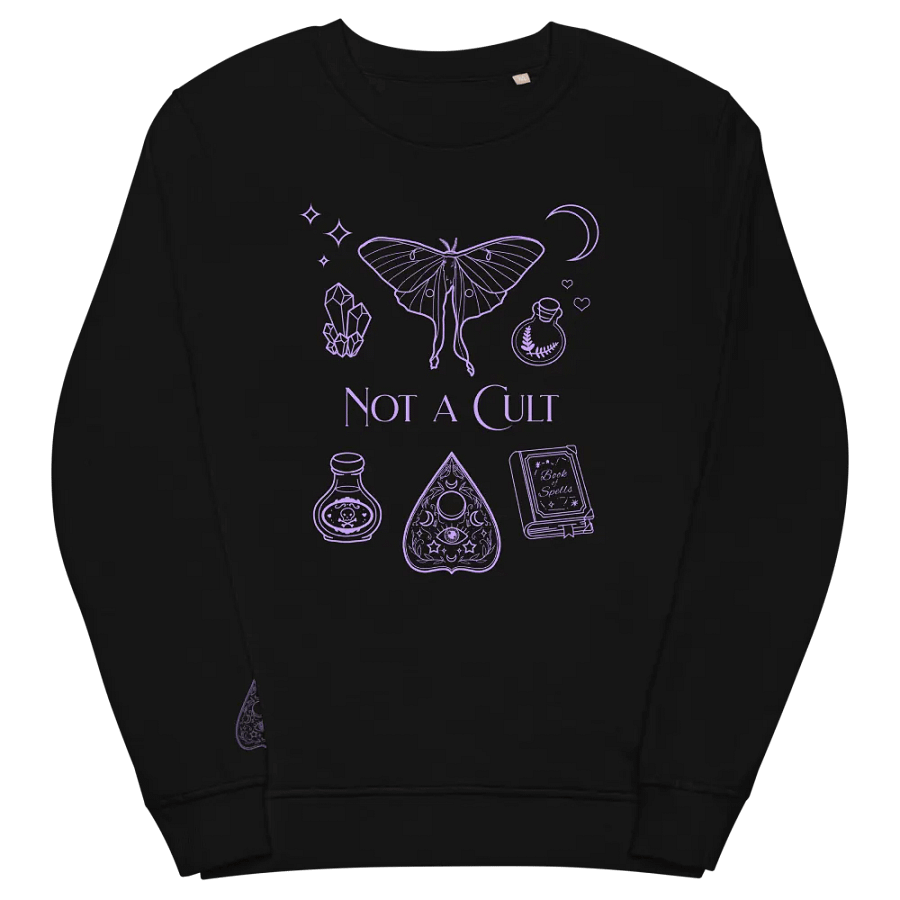Not A Cult Sweatshirt product image (3)