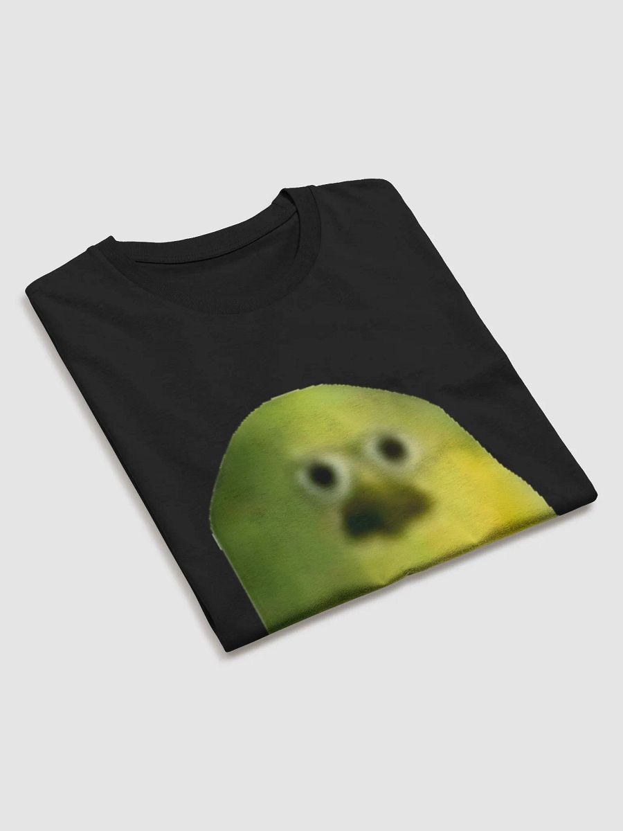 MikeStare Organic Cotton T-Shirt product image (4)