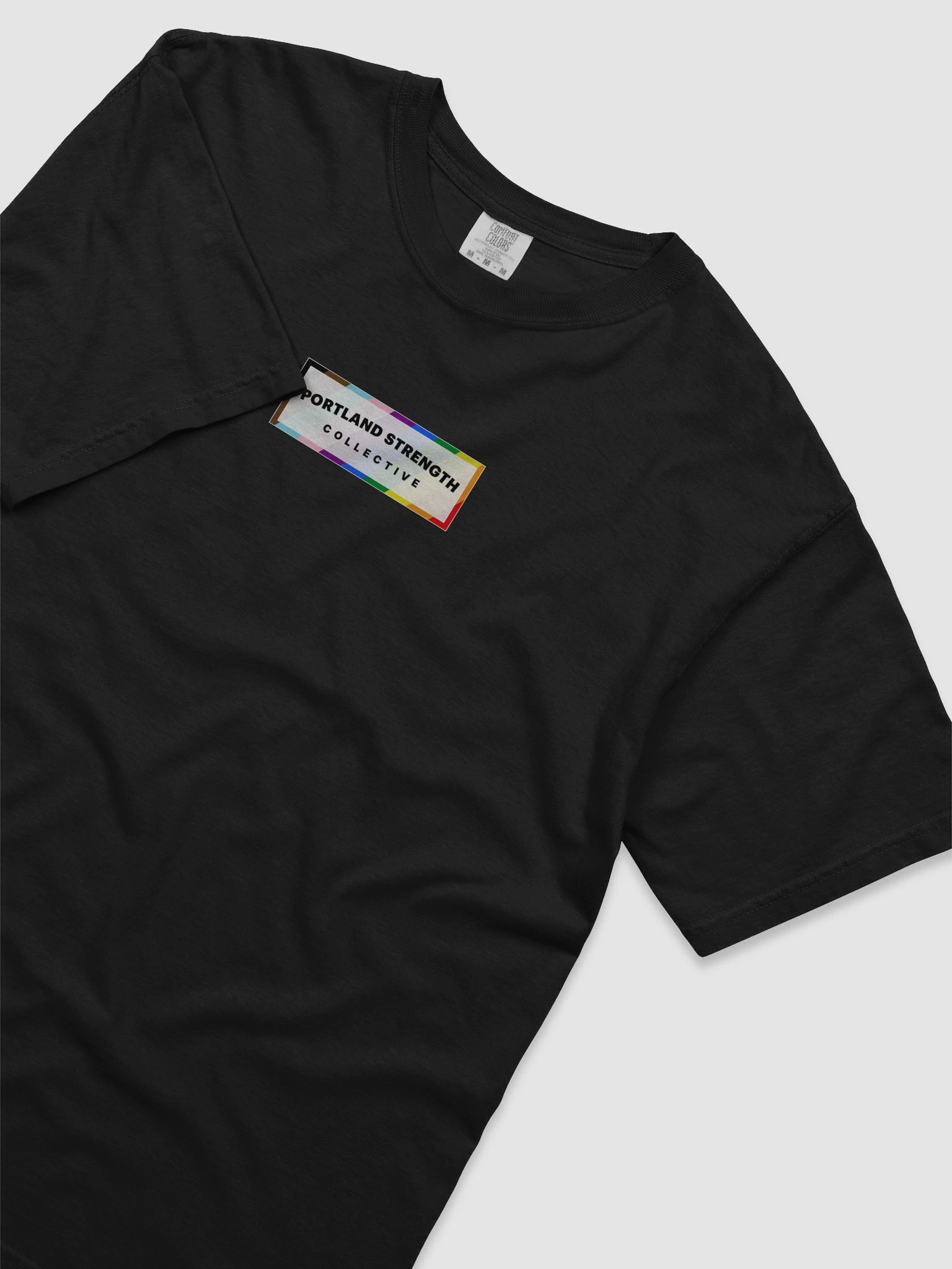 PSC Pride Shirt product image (3)