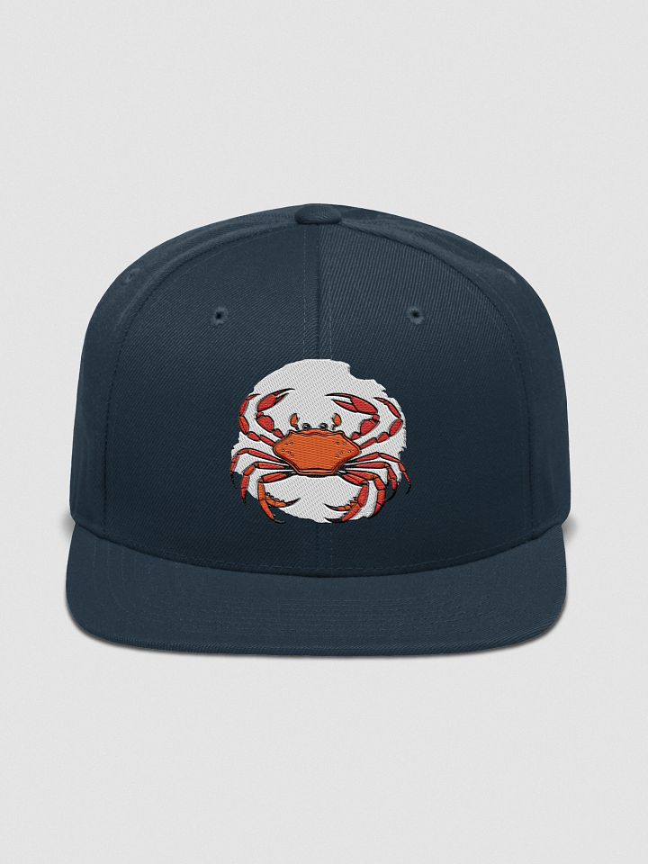 Claws & Color Snapback Cap product image (4)