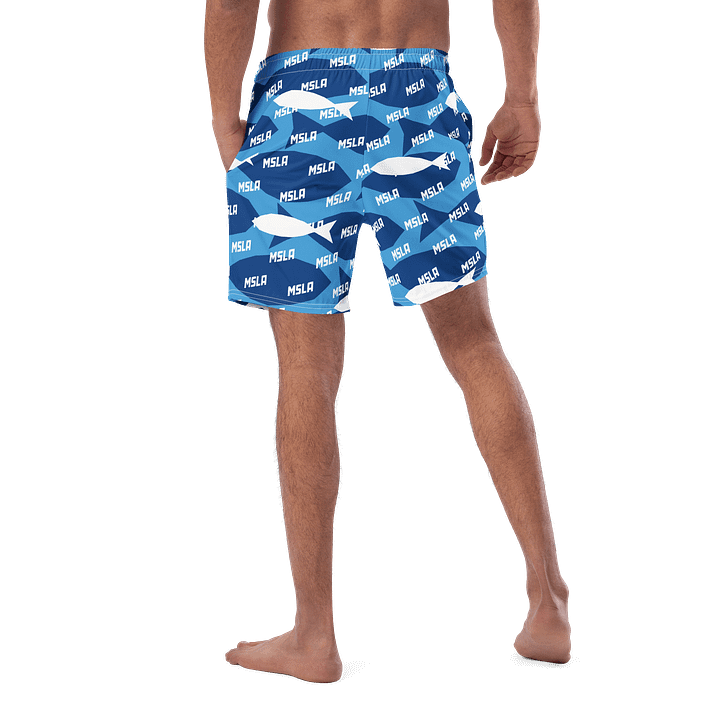 The Summer - Swim Trunks product image (2)