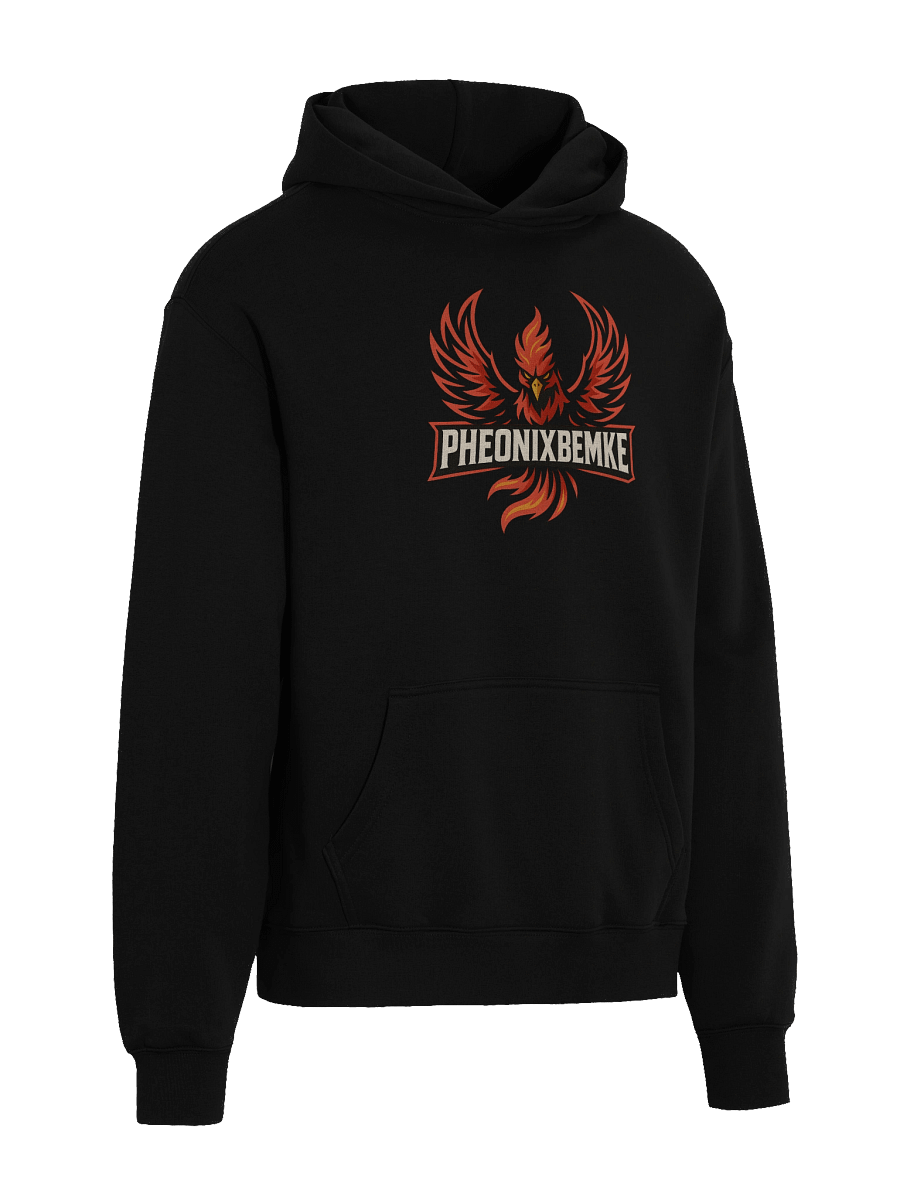 Pheonix Oversized Hoodie product image (4)