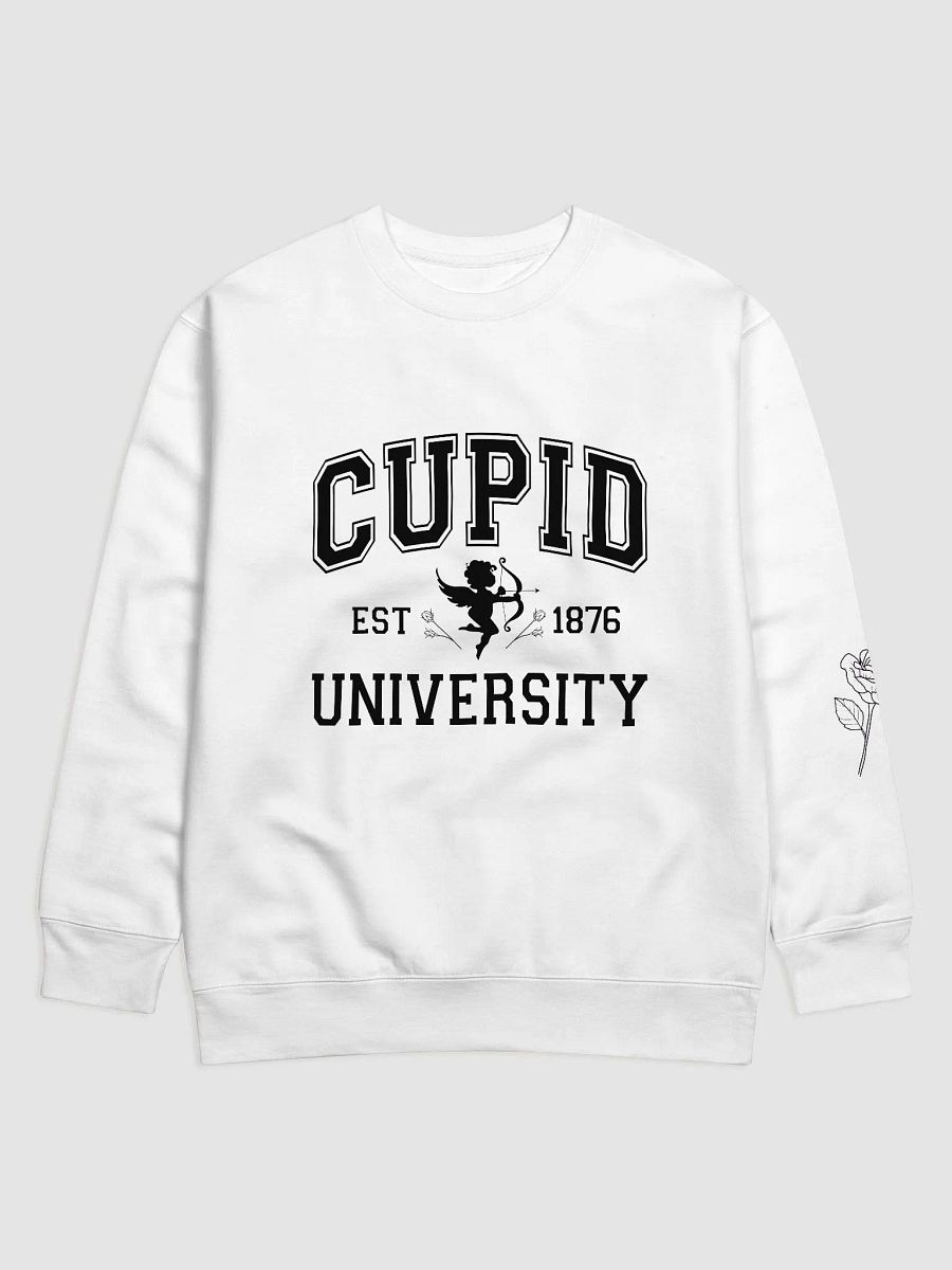 Cupid University SweatShirt product image (13)