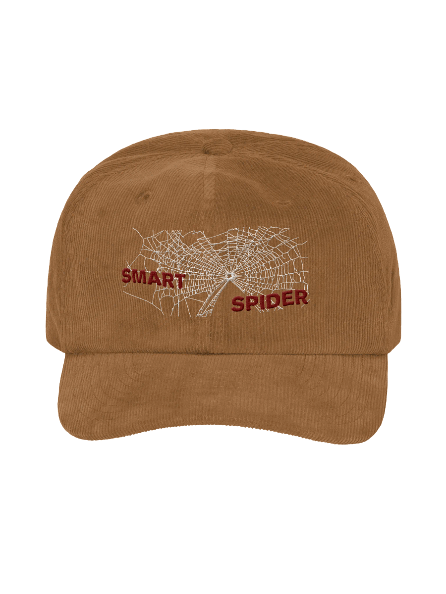 Smart Spider Corduroy Dad Hat product image (1)