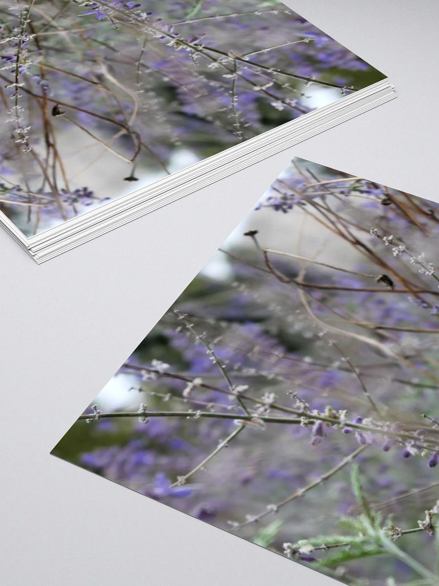 A Study in Flowers 13 - sticker version product image (10)