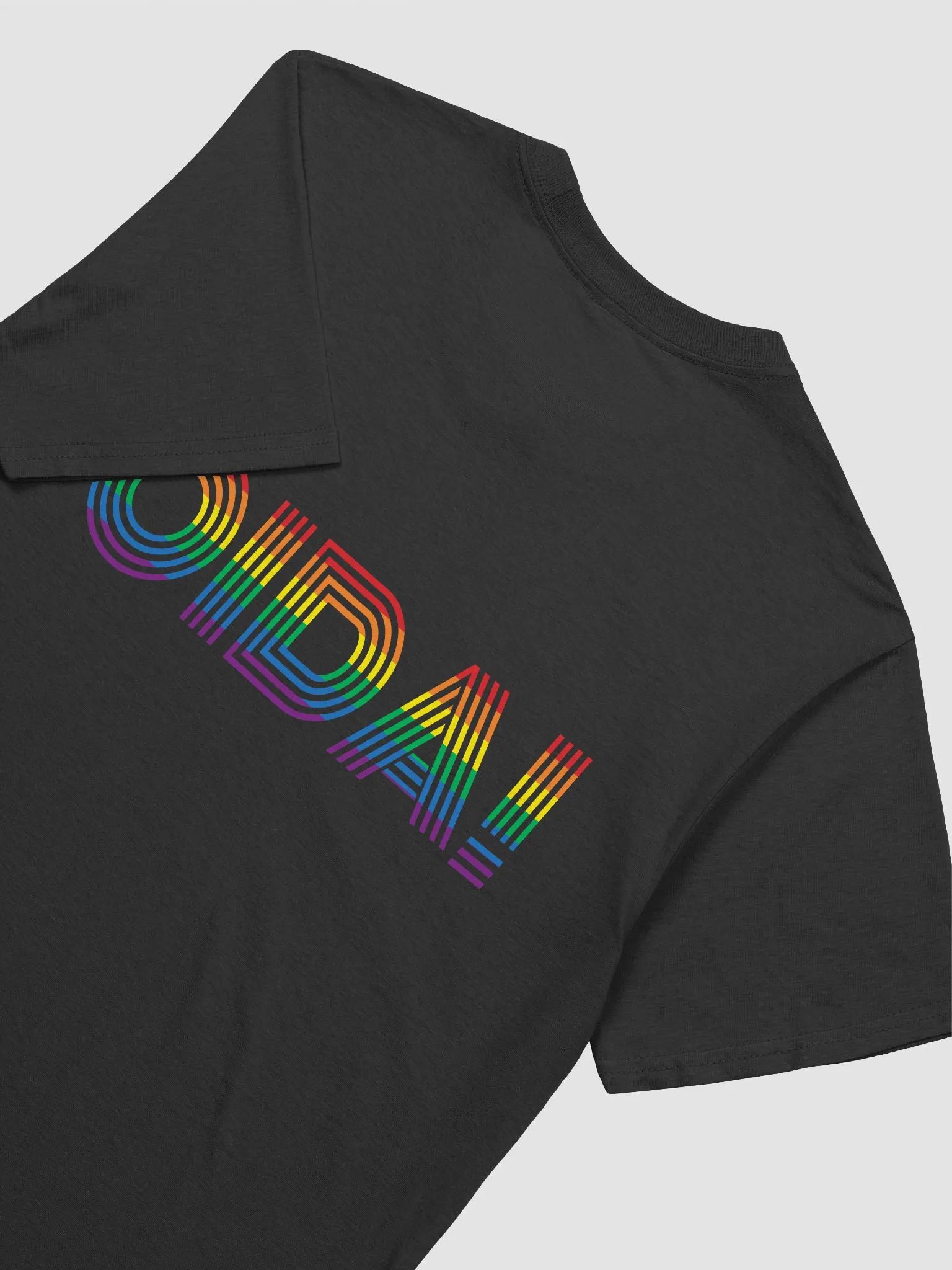 OIDA! Pride T-Shirt | US product image (4)