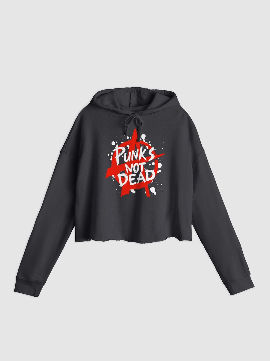 Punk´s not dead product image (1)