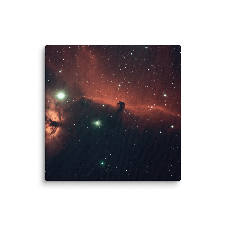 2025 - IC434 by Mark Zdziarski product image (7)