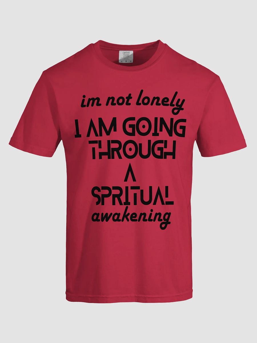 I'm Not Lonely I Am Going Through a Spiritual Awakening Tee – Spiritual Journey Shirt, Healing Vibes T-Shirt, Mindfulness Gift, Unisex Shirt for Men & Women, Holiday Present product image (31)