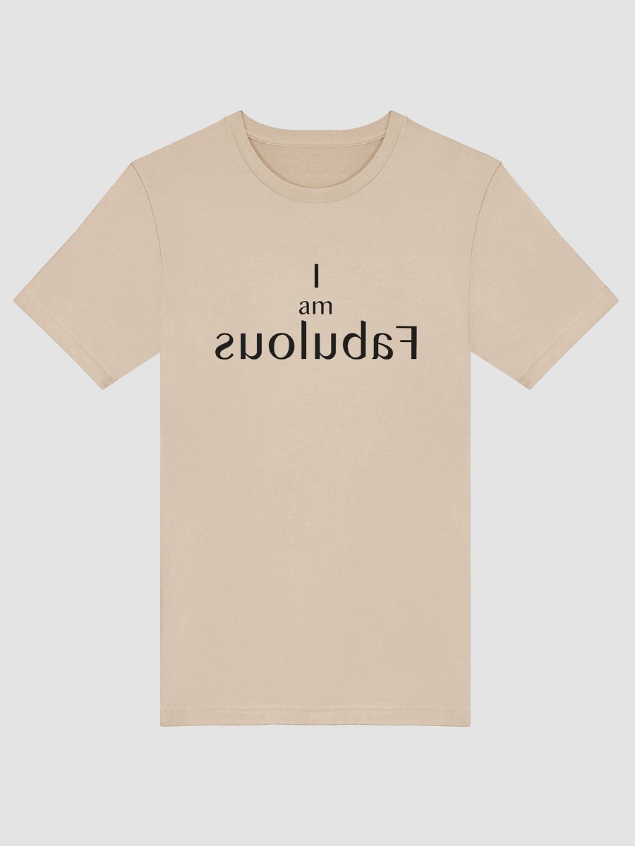 Mirror Message Tee – “I Am Fabulous” in Reverse (Read it in the Mirror) product image (36)