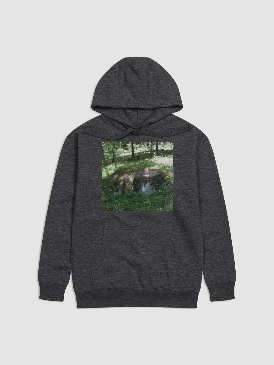 Rimas Zeimys hoodie product image (1)