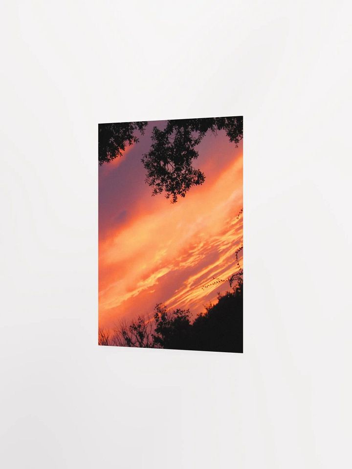 Florida Sunset 2 product image (17)