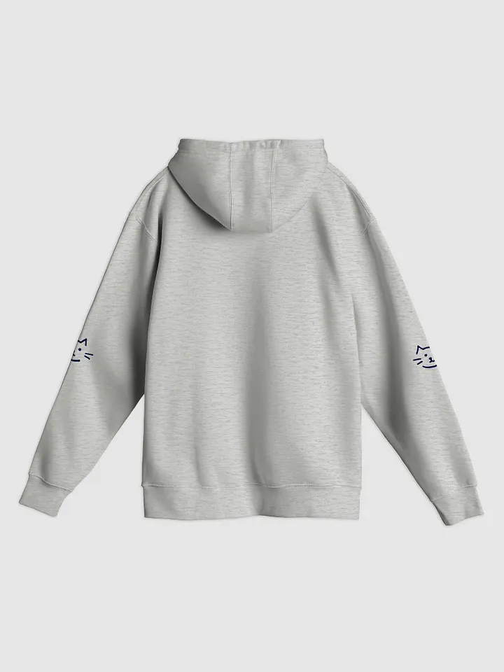 Lane Seven Premium Pullover Hoodie product image (10)