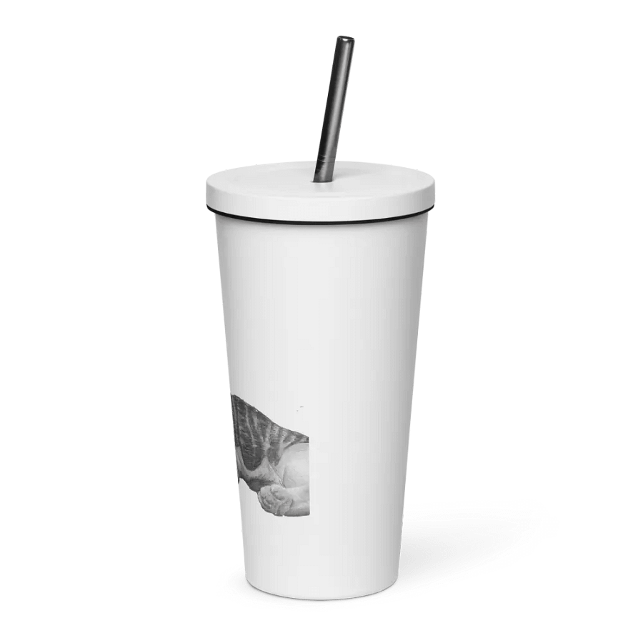 Cat Drawing Straw Cup product image (3)