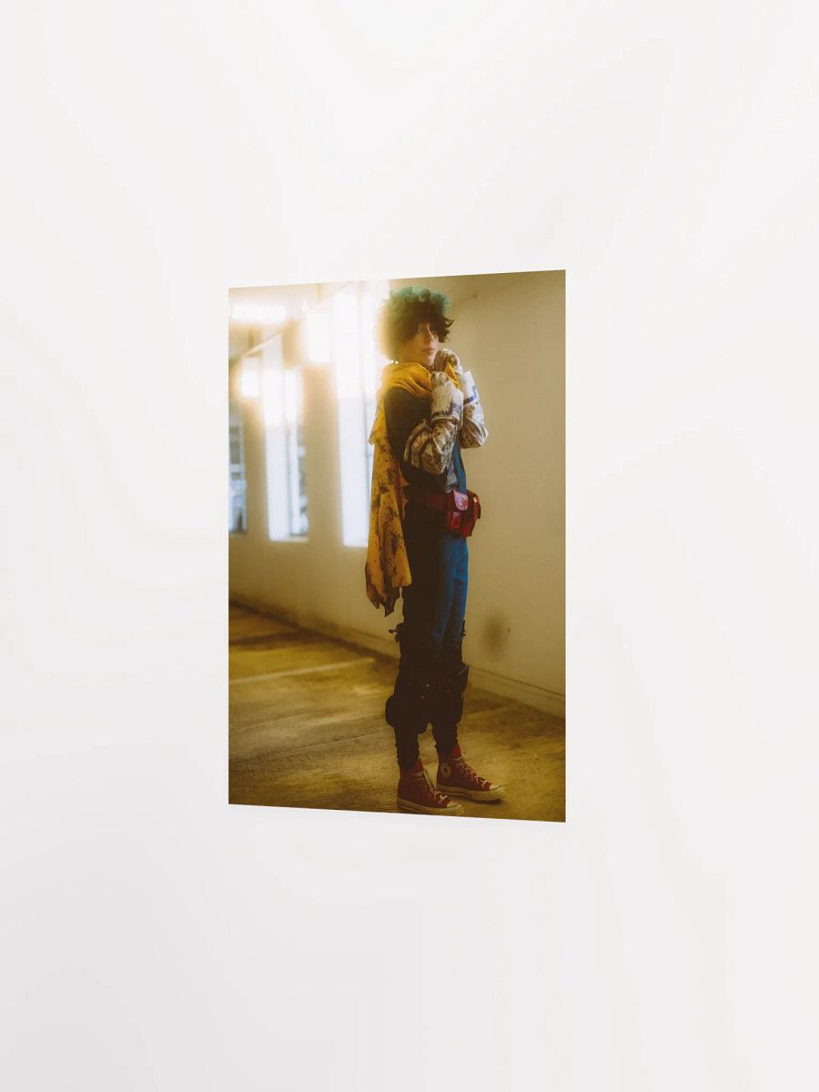 FANBOY - Poster product image (3)