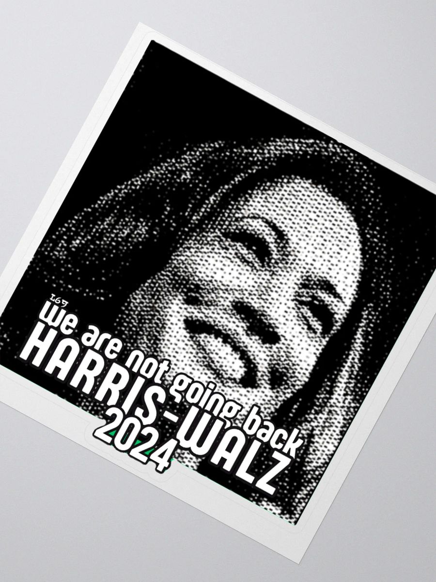 HARRIS-WALZ 2024 WE ARE NOT GOING BACK product image (4)