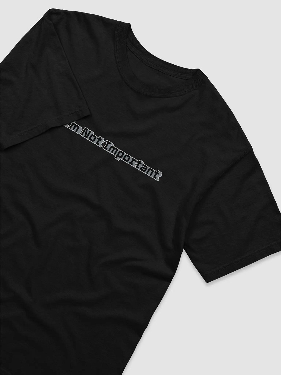 Garment-Dyed Heavyweight T-Shirt - Mr I'm Not Important product image (3)