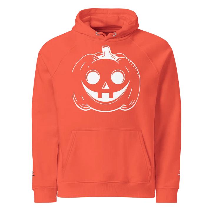 Eco-Friendly Pumpkin Patch Raglan Hoodie product image (1)