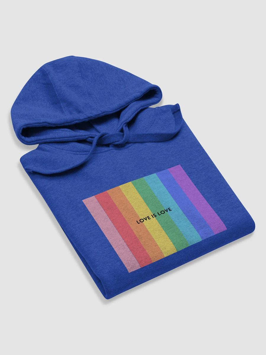 Love is Love Hoodie. product image (53)