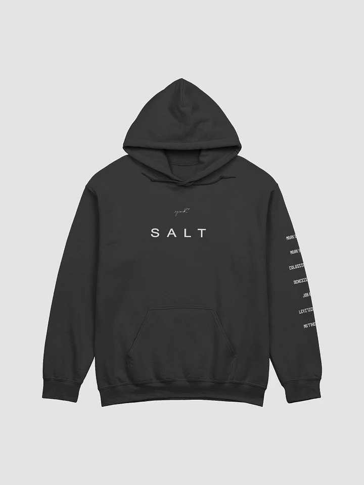 SALT Hoodie product image (1)