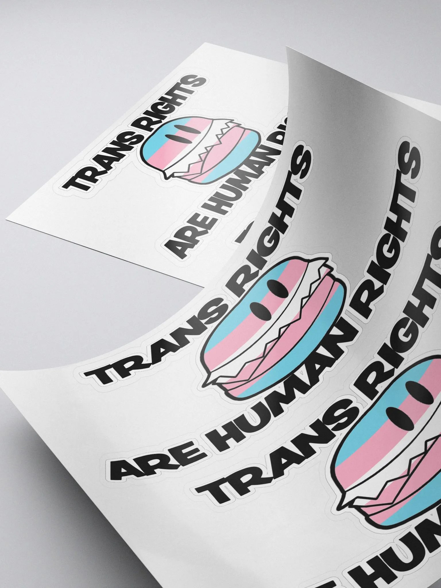 Trans Rights Stickers (2-pack) product image (4)