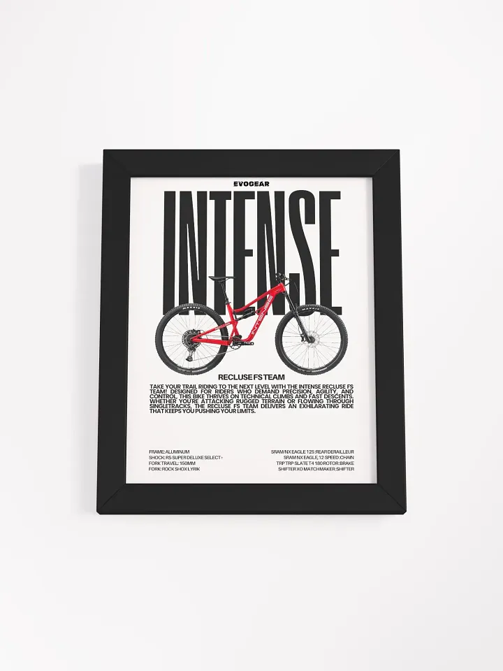 Intense Recluse FS Team Frame product image (5)