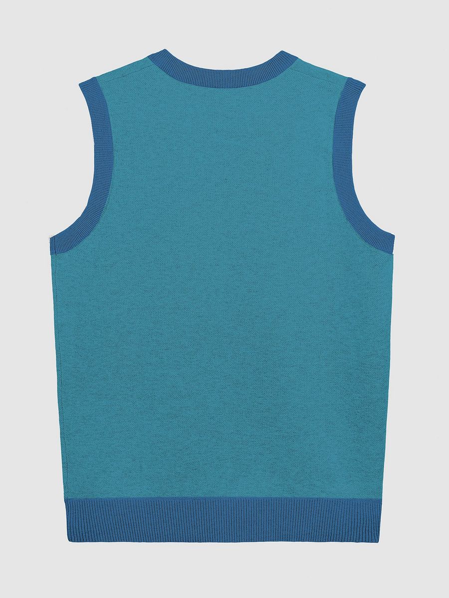 PLEASE DON'T MAKE ME TALK (duotone teal) knitwear vest product image (8)