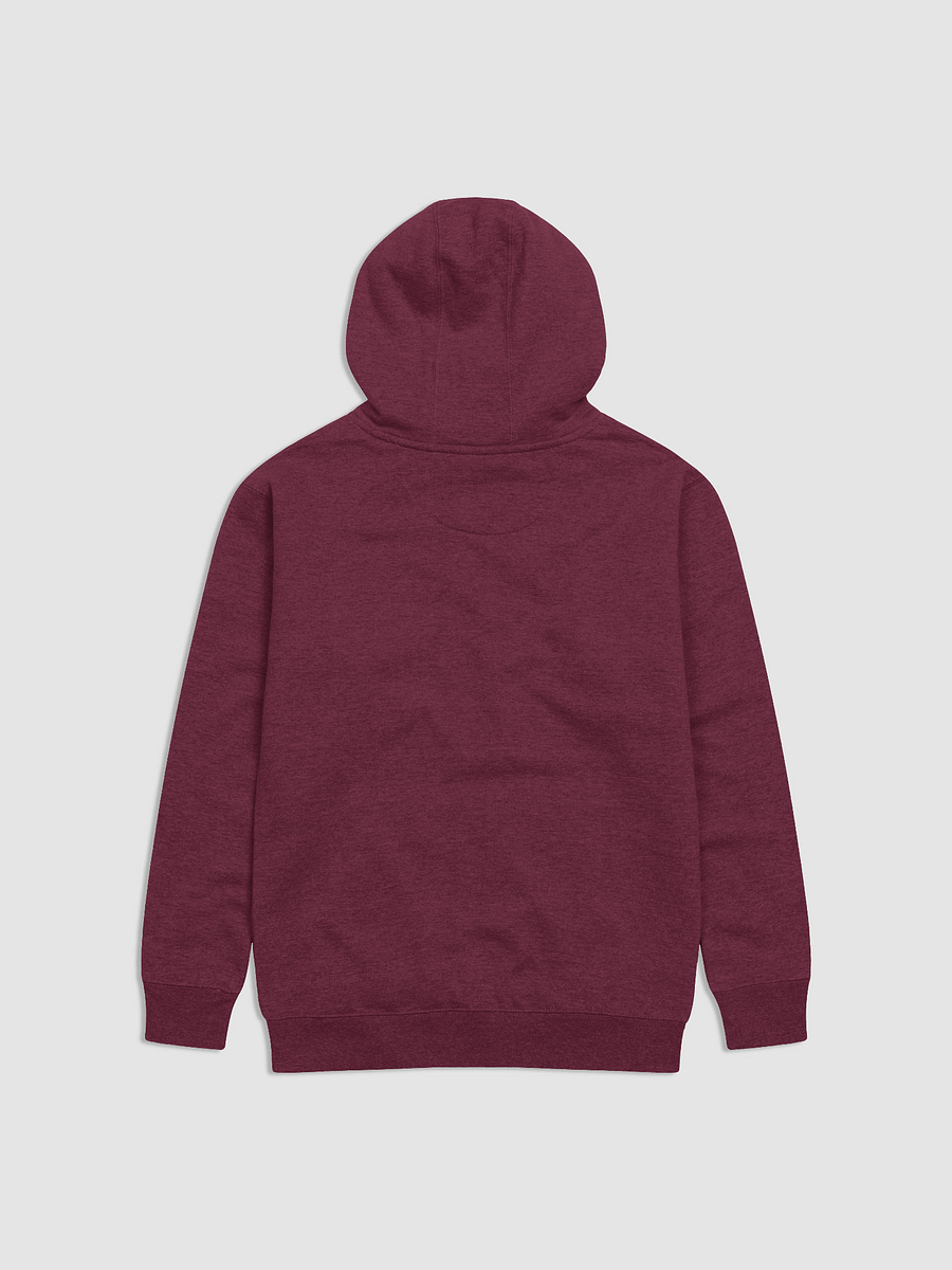 EXTRAORDINAIRE IMMIGRANT HOODIE PURPLE product image (2)