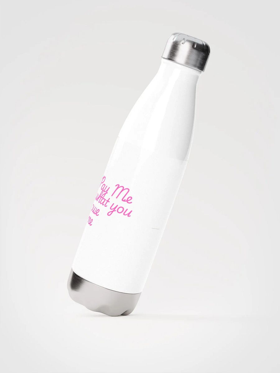 Stainless bottle product image (2)
