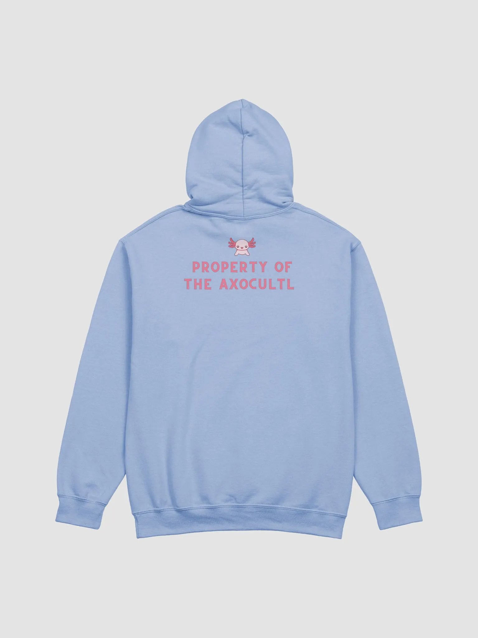 Discord Server AxoCultl Hoodie product image (8)
