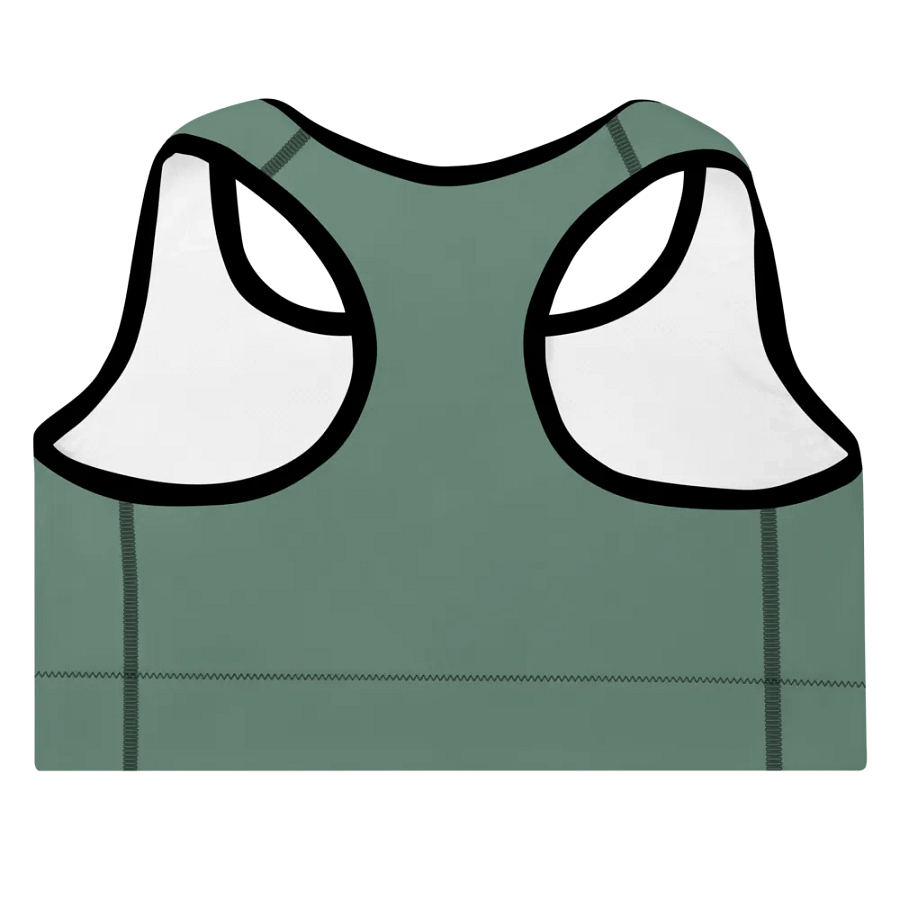 Elevate Your Workout Style with the IBVL X JV Padded Sports Bra product image (4)