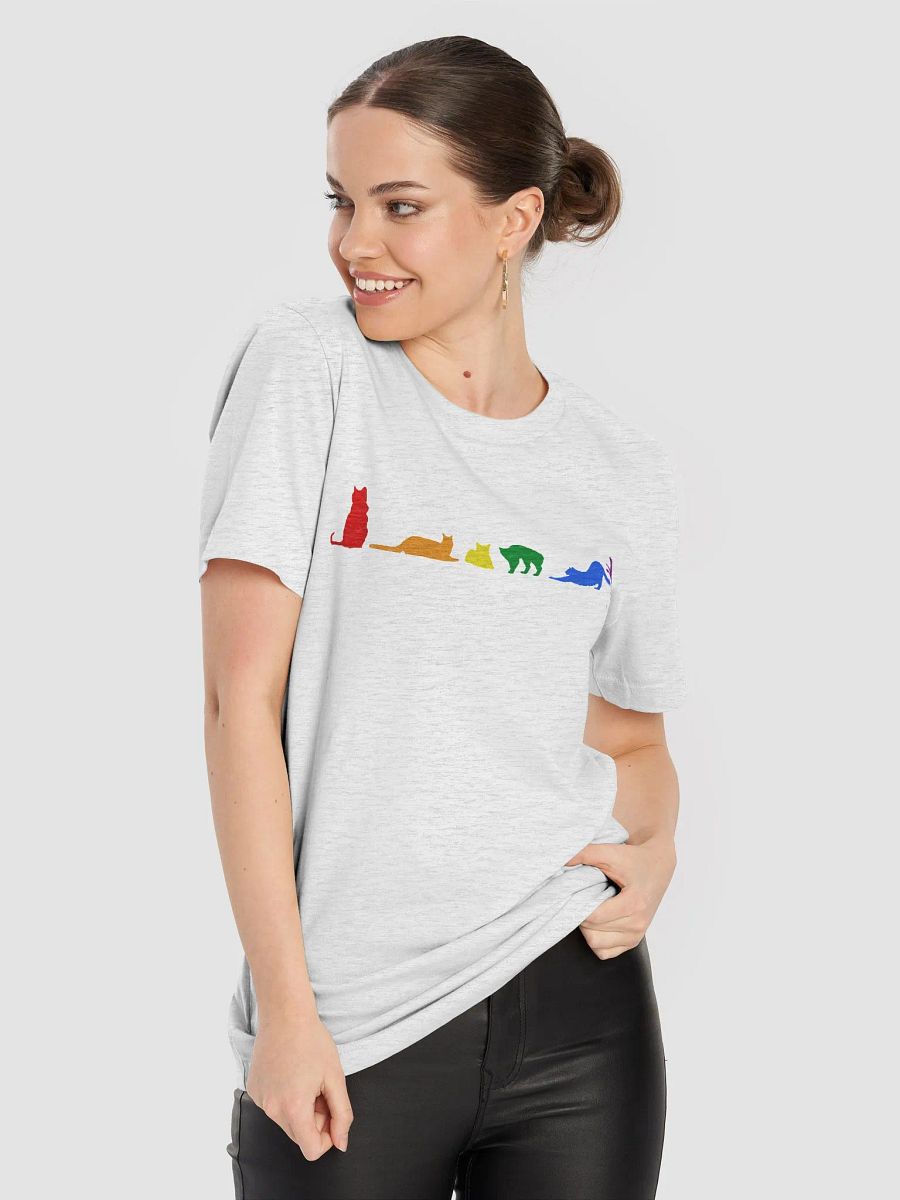 Rainbow Pride Cats Women's Shirt product image (86)