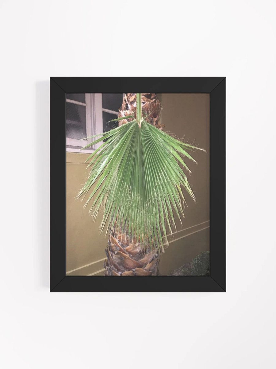 Lura product image (4)