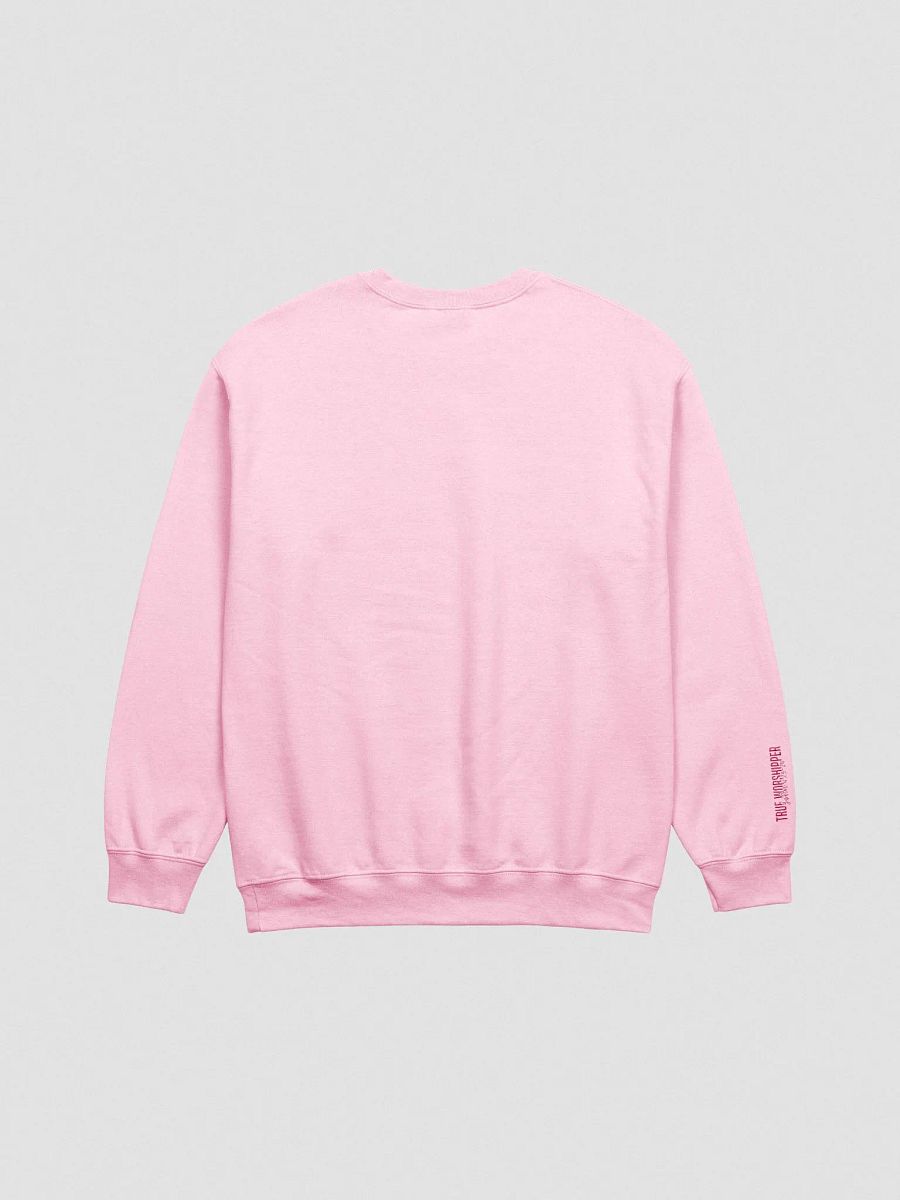 I'm the Crying Worshipper Embroidered Sweatshirt | Light Colors product image (2)