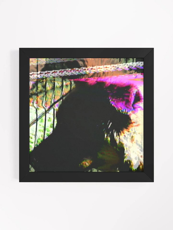 Ms Chimkin (German Shepherd) product image (1)