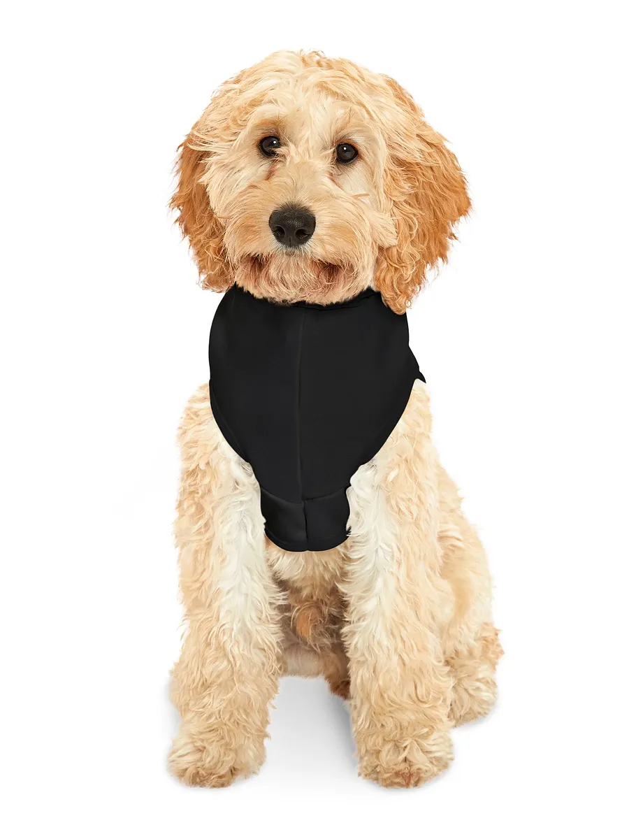 PAPASITOS PAWS OWN PARTY HOODIE product image (8)