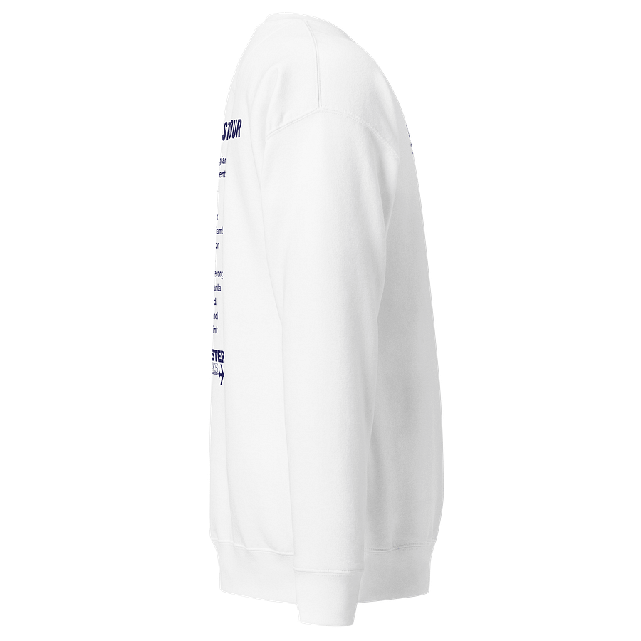 USA East Coast Tour Full Logo Sweatshirt - Light Colours product image (12)