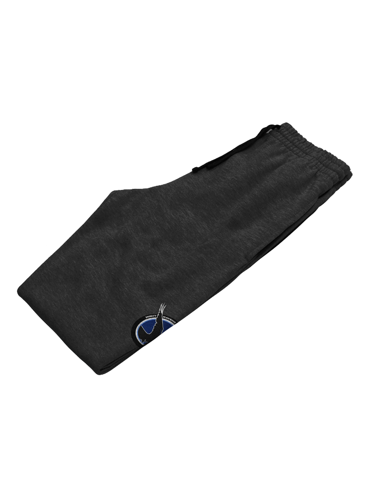 NIGHT RAVEN JOGGERS product image (2)