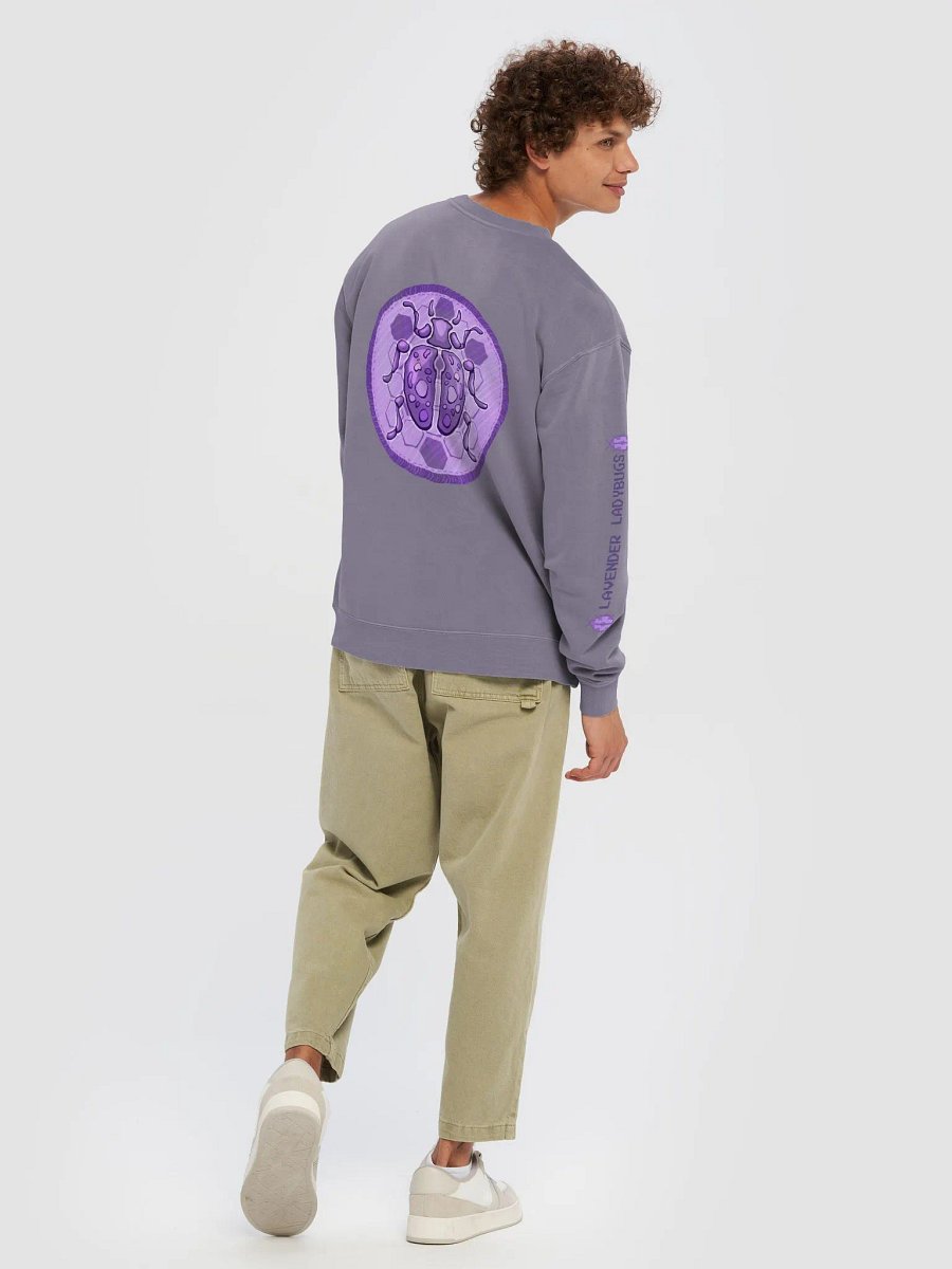 Lavender Ladybugs Sweater product image (4)