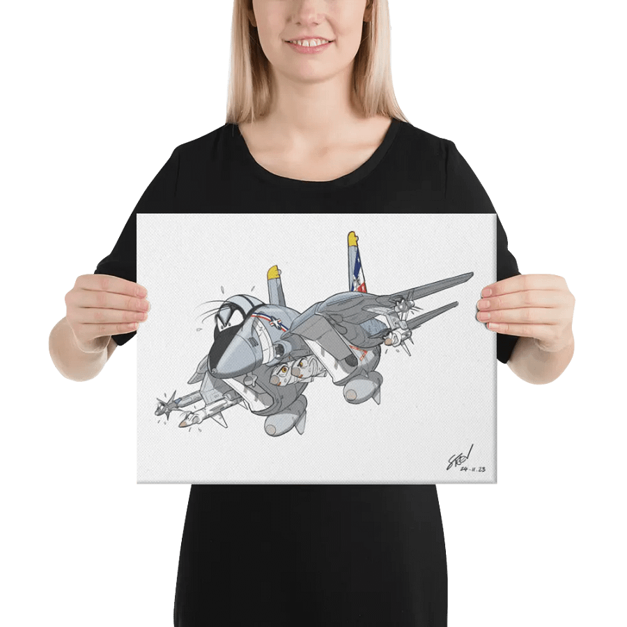 F-14 Tomcat Canvas (Charity Sale) product image (5)