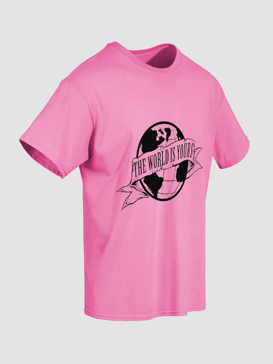 The World Is Yours T-shirt product image (21)