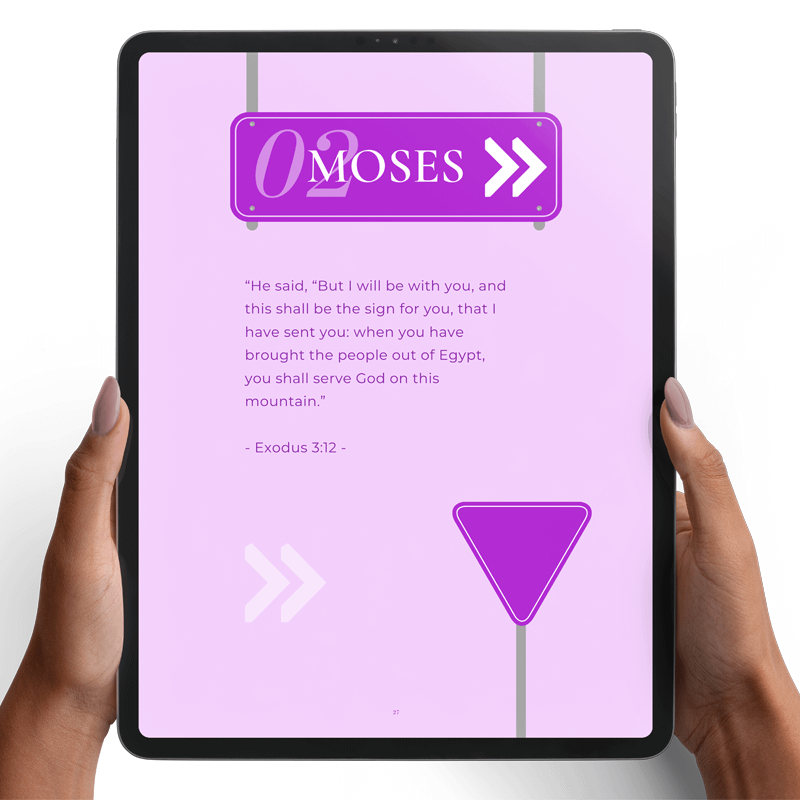 Crazy or Called Digital Study Guide product image (7)